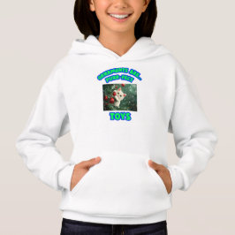 Camiseta Enfeites São Brinquedos Perfeitos para Gatos Natal