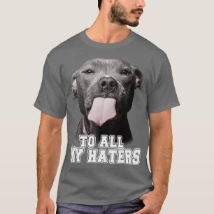 Camiseta Engraçada Pitbull Para Todos Os Meus Odiadores Cac