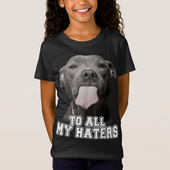 Camiseta Engraçada Pitbull Para Todos Os Meus Odiadores Cac (Frente)