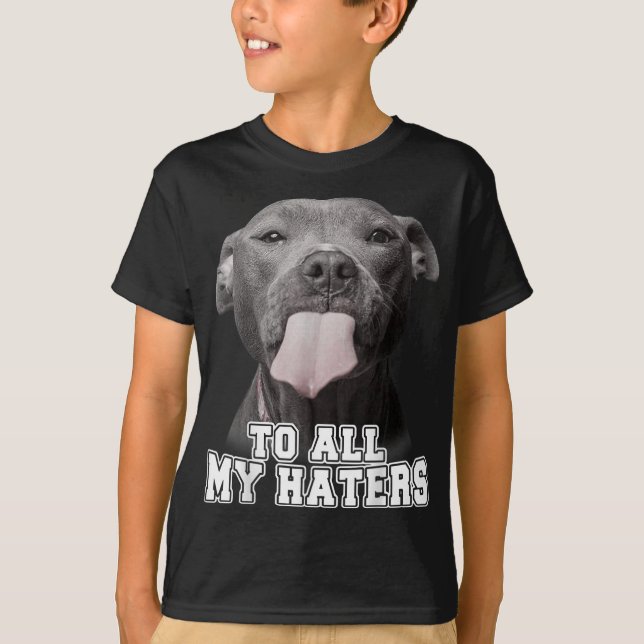 Camiseta Engraçada Pitbull Para Todos Os Meus Odiadores Cac (Frente)