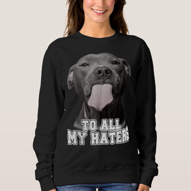 Camiseta Engraçada Pitbull Para Todos Os Meus Odiadores Cac (Frente)