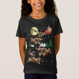 Camiseta Engraçada Reindeer Shih Tzu Xmas Palavras De Cão D
