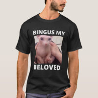 Engraçado Bingus Meu Amado Sphinx Cat Bingus