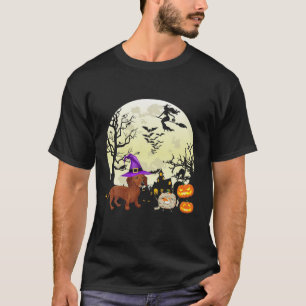 Camiseta Engraçado Dachshund Witch Dog Amava Figurino de H