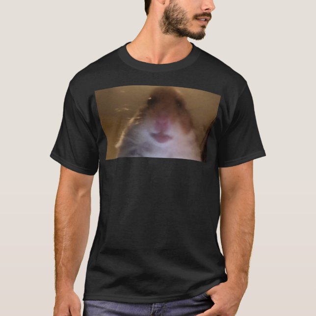 Camiseta Engraçado Dank Memer Hamster Staring Front Camera  (Frente)