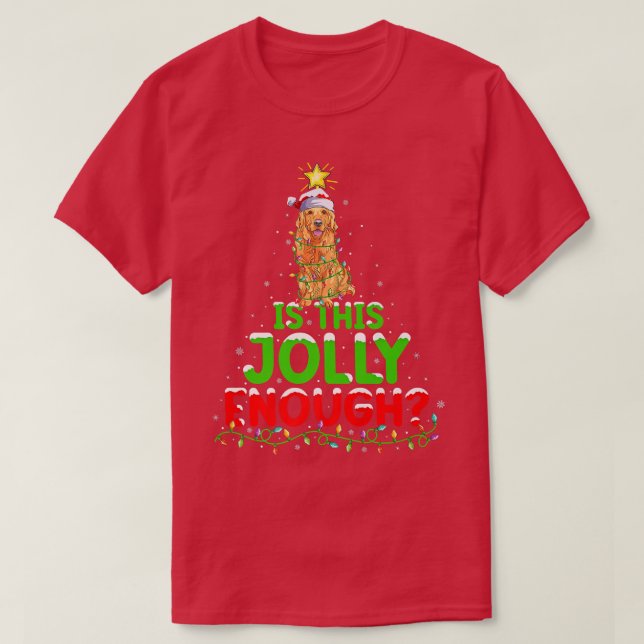 Camiseta Engraçado É Este Cristo De Retriever De Ouro Sufic (Frente do Design)