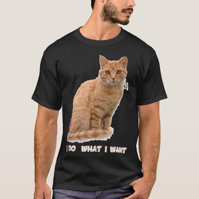 Camiseta Engraçado Laranja Tabby Cat Aluga Presentes (Frente)