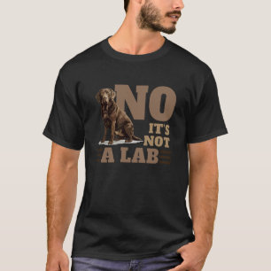Camiseta Engraçado Não É Um Lab Chesapeake Bay Retriever D