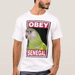 Camiseta Engraçado Papagaio Senegal - Arte de Pássaro