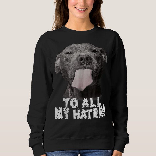 Camiseta Engraçado Pitbull Para Todos Os Meus Odiadores Cac (Frente)