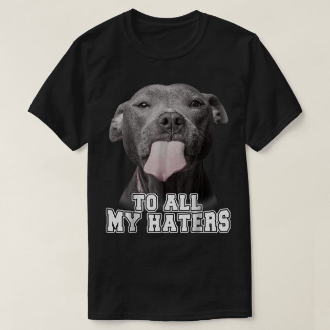 Camiseta Engraçado Pitbull Para Todos Os Meus Odiadores Cam (Frente do Design)
