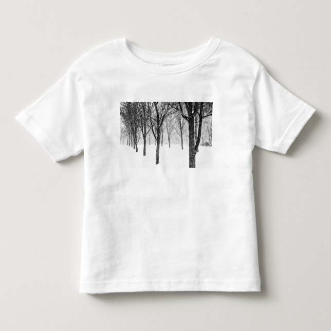 Camiseta Enquanto eu lado com árvores (Frente)