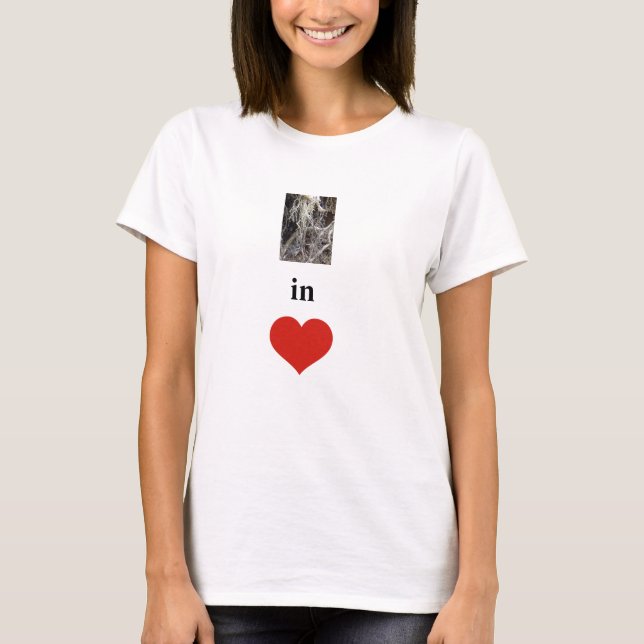 Camiseta Enraizado no Amor (Frente)