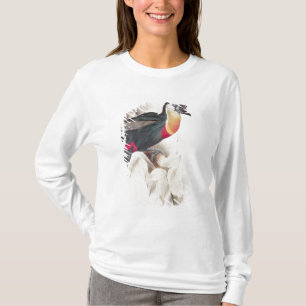 Camiseta Enxofre e Toucan breasted branco, século XIX