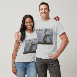 Camiseta Equipe 144000