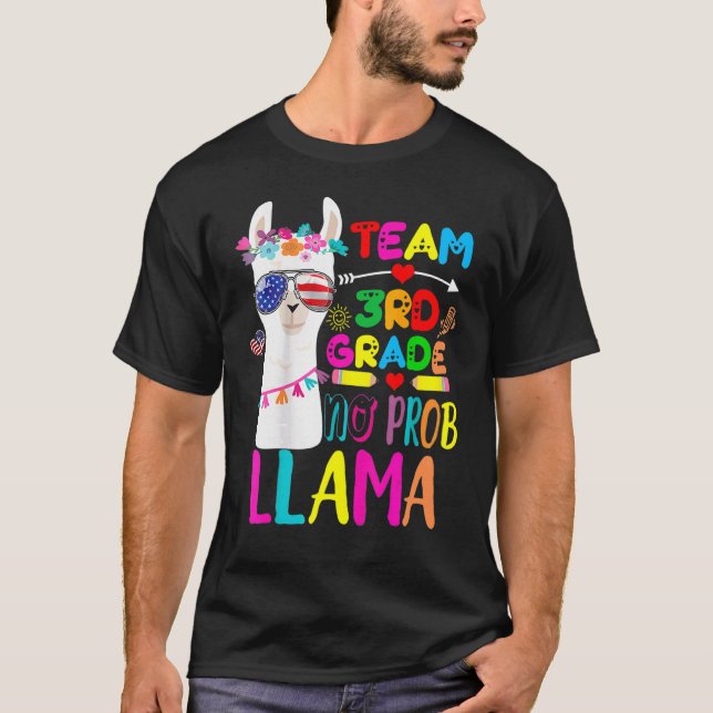 Camiseta Equipe 3º Grau Não Prob Llama Professora De Volta  (Frente)