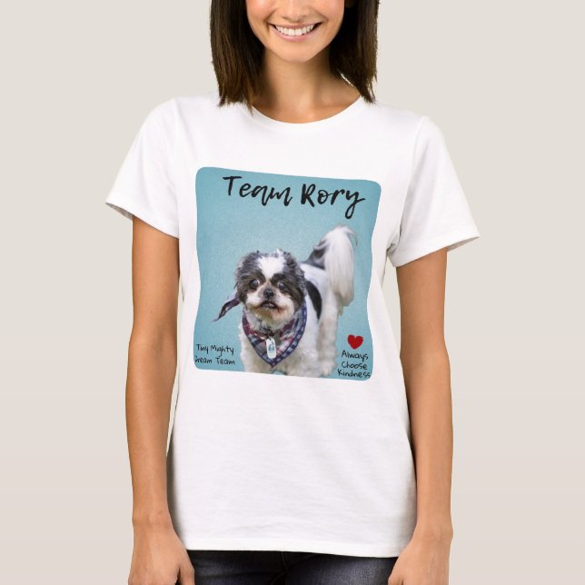 Camiseta Equipe de Sonhos Minúsculos - Equipe Rory Tshirt (Frente)