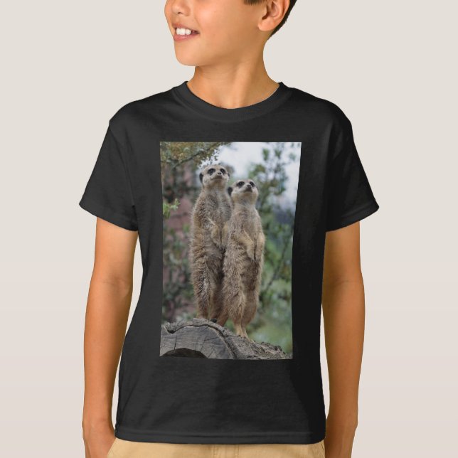 Camiseta Erdmännchen DreamTeam (Frente)