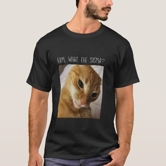 Camiseta Erm, O que é o meme engraçado do gato Sigma (Frente)