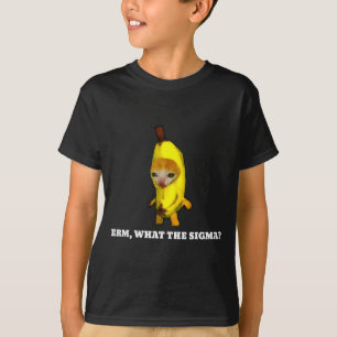 Camiseta Erm, Qual Sigma_ Meme de Gato Homens Mulheres Meni