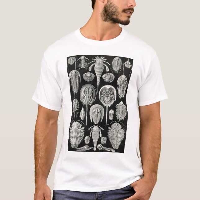 Camiseta Ernst Haeckel - Aspidonia (Frente)