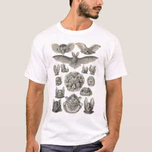 Camiseta Ernst Haeckel - bastões do Chiroptera