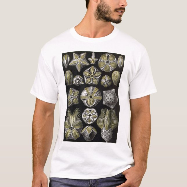 Camiseta Ernst Haeckel - Blastoidea (Frente)