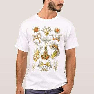 Camiseta Ernst Haeckel - Bryozoa Tshirt