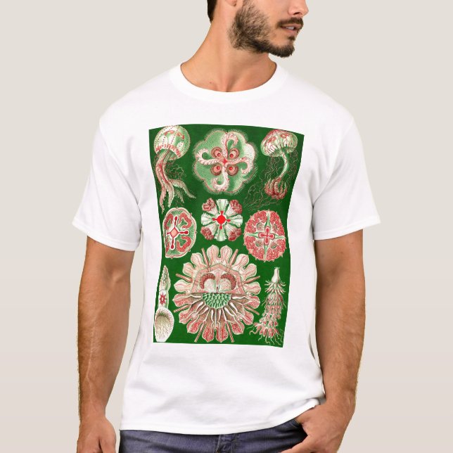 Camiseta Ernst Haeckel - Discomedusae5 (Frente)