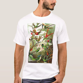 Camiseta Ernst Haeckel - Trochilidae Hummingbird
