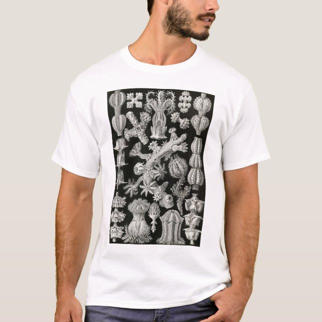 Camiseta Ernst Haeckel - Tshirt de Gorgonida (Frente)