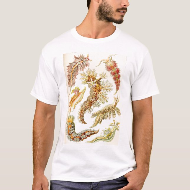 Camiseta Ernst Haeckel - Tshirt do Nudibranchia (Frente)