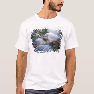 Camiseta Escola dos Piranhas (nattereri de Pygocentrus)