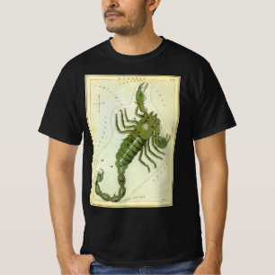 Camiseta Escorpião, Conjunto de Constelações Antigas Espelh
