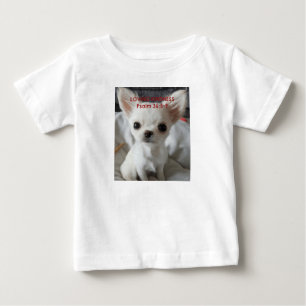 Camiseta Escritura com Chihuahuas