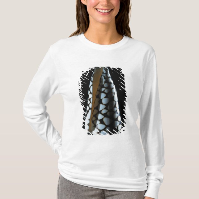 Camiseta Escudo 2 do cone (Frente)