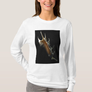 Camiseta Escudo do Conch