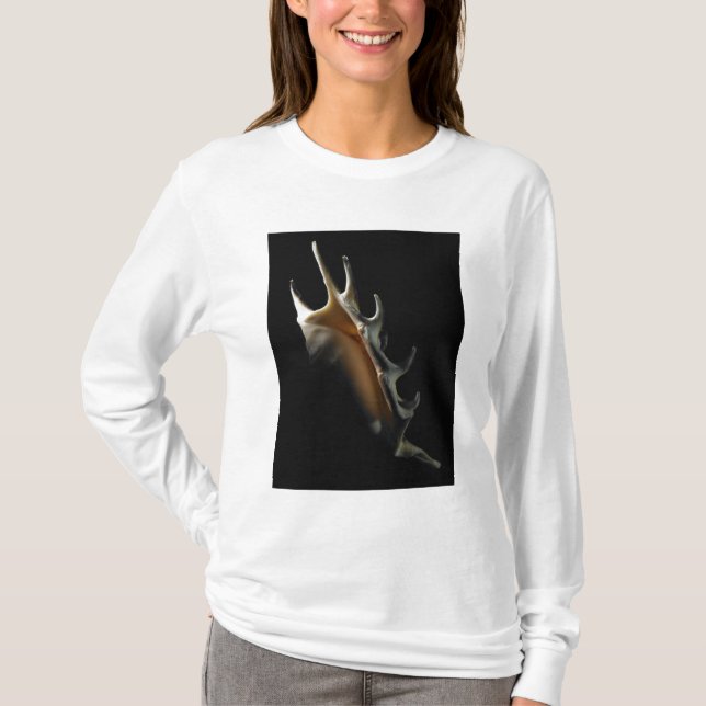 Camiseta Escudo do Conch (Frente)