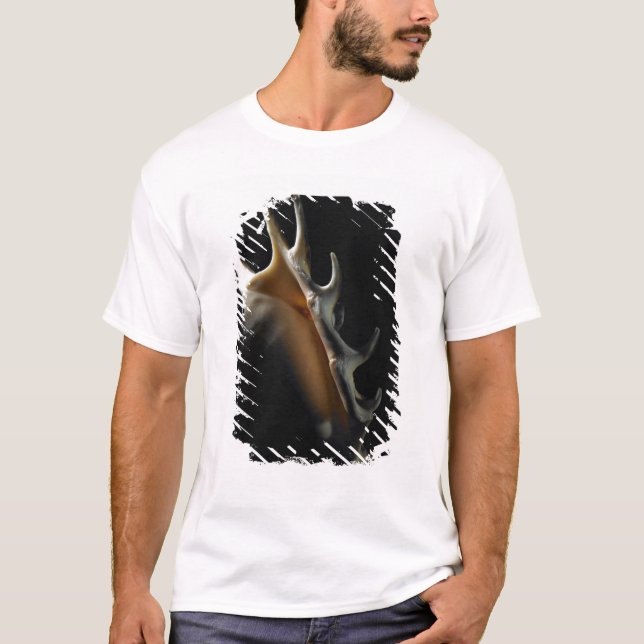 Camiseta Escudo do Conch (Frente)