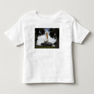 Camiseta Esforço do vaivém espacial do quadro das árvore