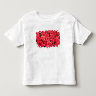 Camiseta ESLOVÊNIA, Liubliana: Mercado Público de Liubliana