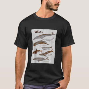 Camiseta Espécies de baleias Mamíferos do mar de baleia Mam