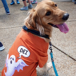 Camiseta Espírito Assustador do Halloween - DEI - laranja