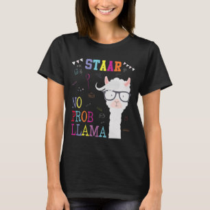 Camiseta Esquadrão de Testes Sem Prob-llama Llama Professor