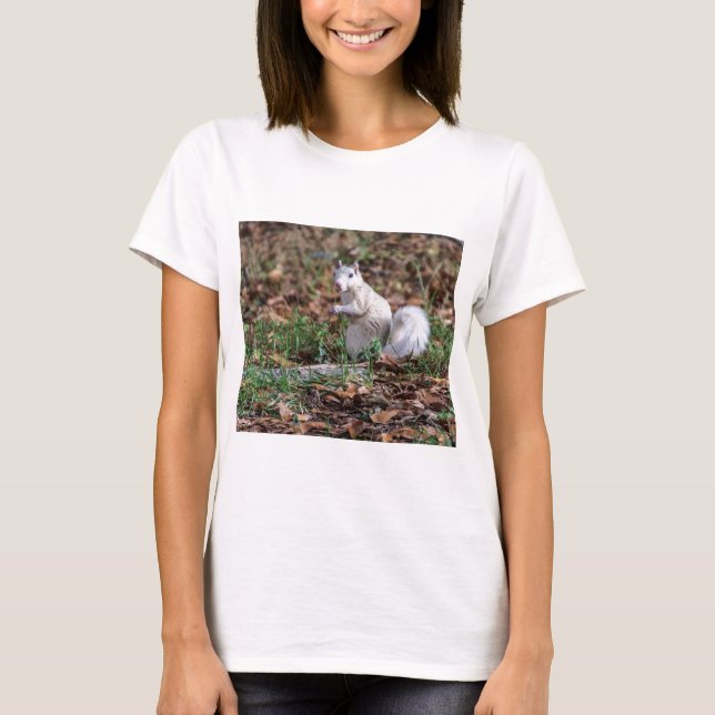 Camiseta Esquilo branco de Brevard (Frente)