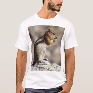 Camiseta Esquilo de solo de manto Ouro da KK
