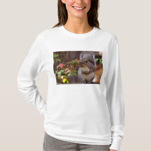 Camiseta Esquilo Leva Com Paciência Leve Longa