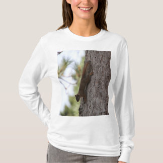 Camiseta Esquilo para baixo