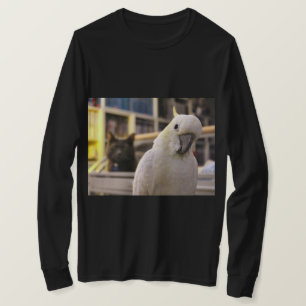 Camiseta Está atrás de mim...não é?