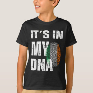 Camiseta Está No Meu Dna Irlanda Bandeira Irlandesa Present